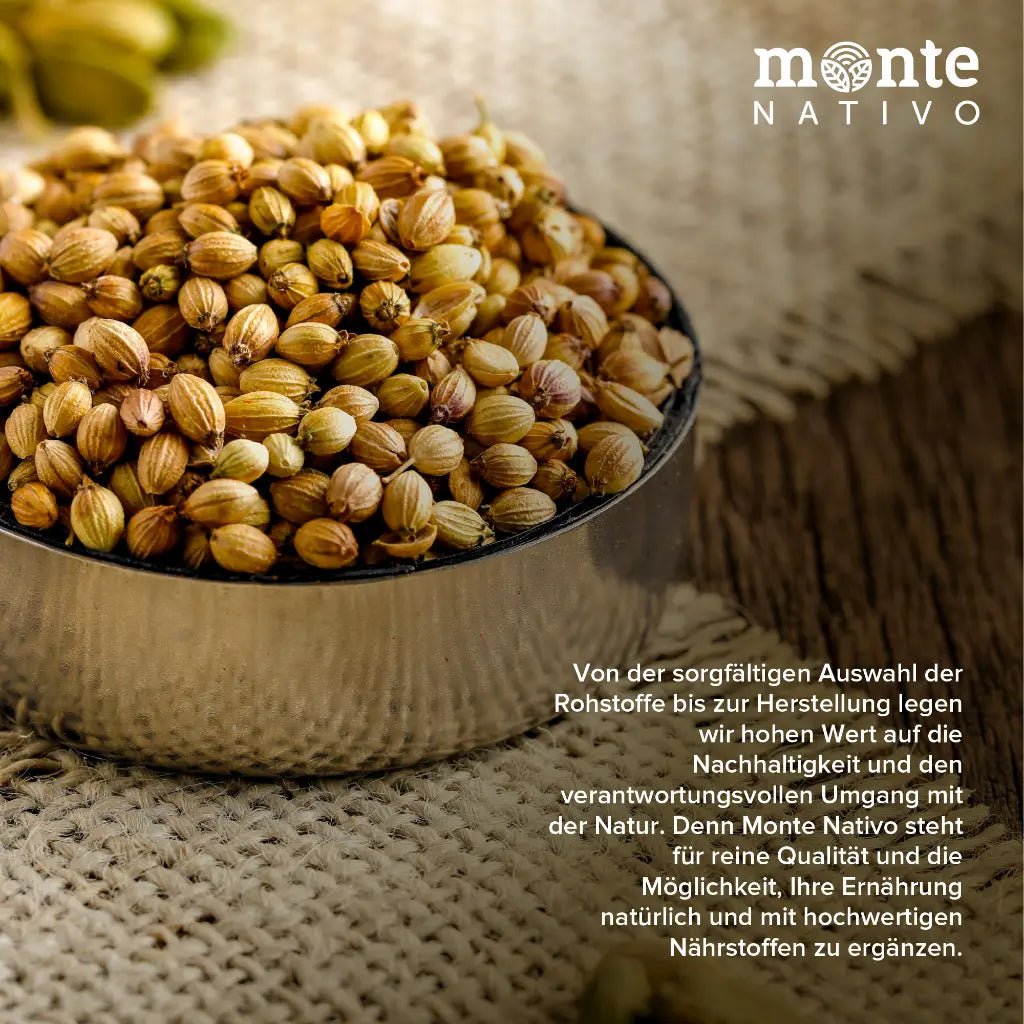 Semená koriandra (500 g)