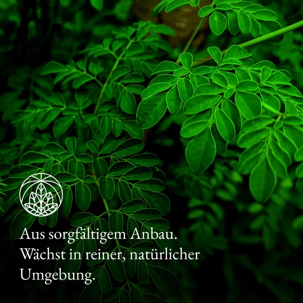Moringa levelek (200 g)