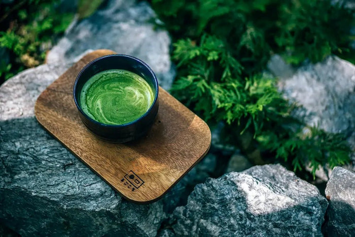 Matcha Pulver Monte Nativo