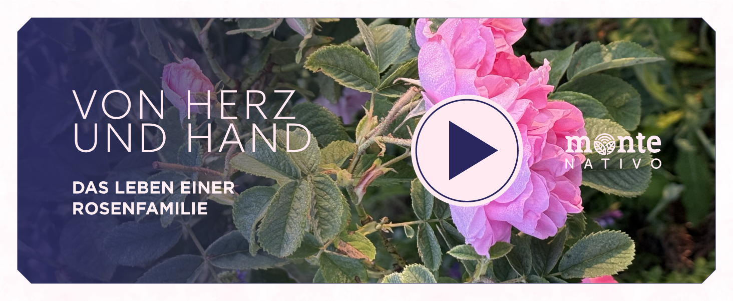 Video laden: 