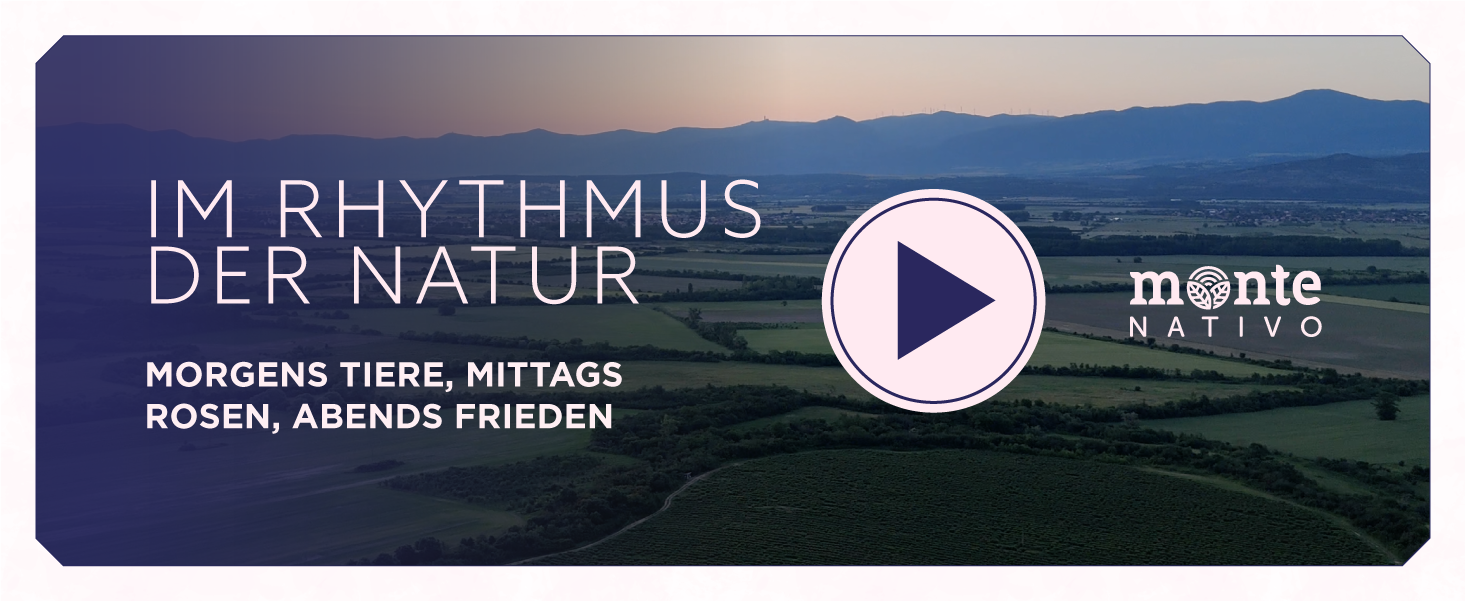 Video laden: 