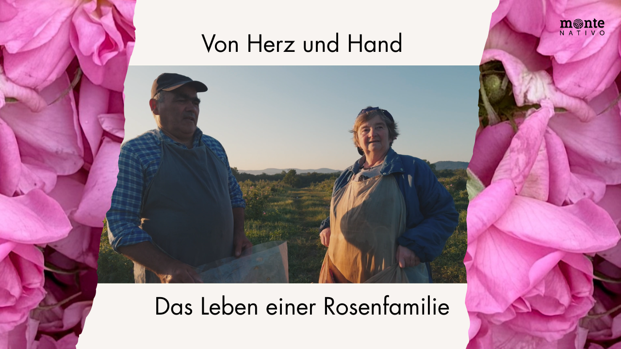 Video laden: 